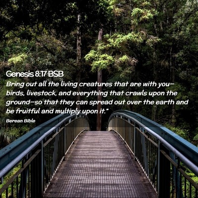 Picture 02 - Genesis 8:17 BSB - Bring out all the living creatures that are with - Bible Verse Picture