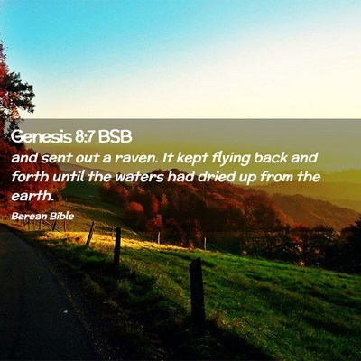 Picture 02 - Genesis 8:7 BSB - and sent out a raven. It kept flying back and - Bible Verse Picture