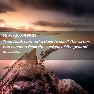 Picture 02 - Genesis 8:8 BSB - Then Noah sent out a dove to see if the waters - Bible Verse Picture