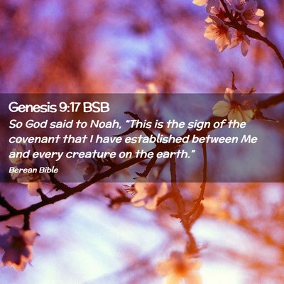 Picture 02 - Genesis 9:17 BSB - So God said to Noah, “This is the sign of the - Bible Verse Picture