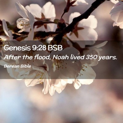 Picture 02 - Genesis 9:28 BSB - After the flood, Noah lived 350 - Bible Verse Picture