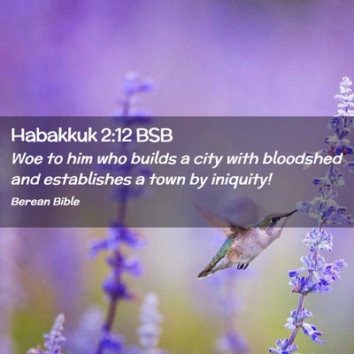 Picture 02 - Habakkuk 2:12 BSB - Woe to him who builds a city with bloodshed and - Bible Verse Picture