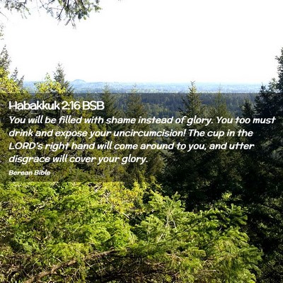 Picture 02 - Habakkuk 2:16 BSB - You will be filled with shame instead of glory. - Bible Verse Picture