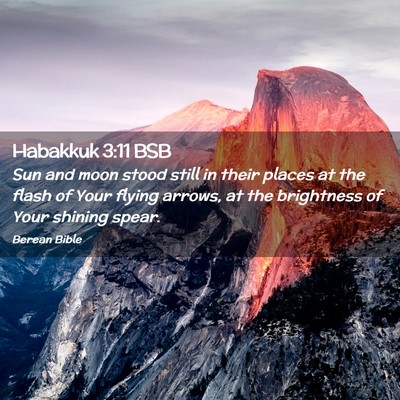 Picture 02 - Habakkuk 3:11 BSB - Sun and moon stood still in their places at the - Bible Verse Picture