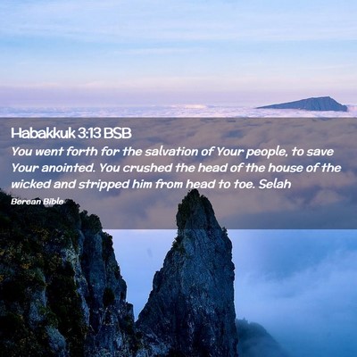 Picture 02 - Habakkuk 3:13 BSB - You went forth for the salvation of Your people, - Bible Verse Picture