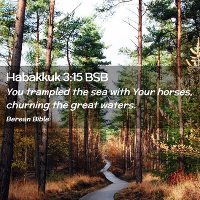 Picture 02 - Habakkuk 3:15 BSB - You trampled the sea with Your horses, churning - Bible Verse Picture