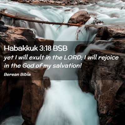 Picture 02 - Habakkuk 3:18 BSB - yet I will exult in the LORD; I will rejoice in - Bible Verse Picture