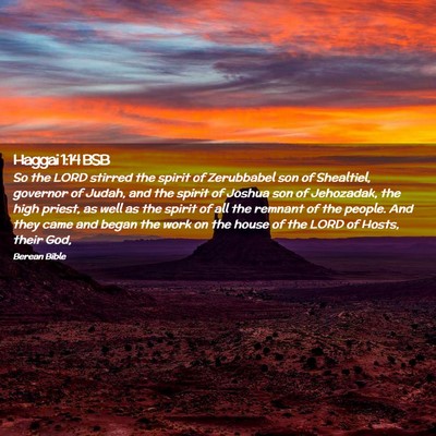 Picture 02 - Haggai 1:14 BSB - So the LORD stirred the spirit of Zerubbabel son - Bible Verse Picture
