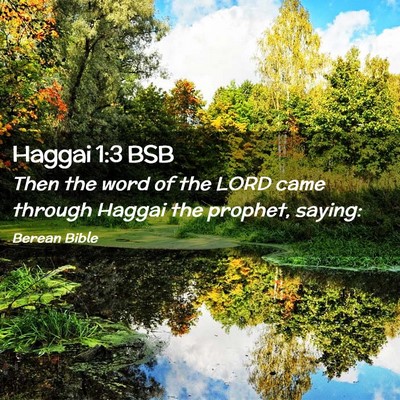Picture 02 - Haggai 1:3 BSB - Then the word of the LORD came through Haggai the - Bible Verse Picture