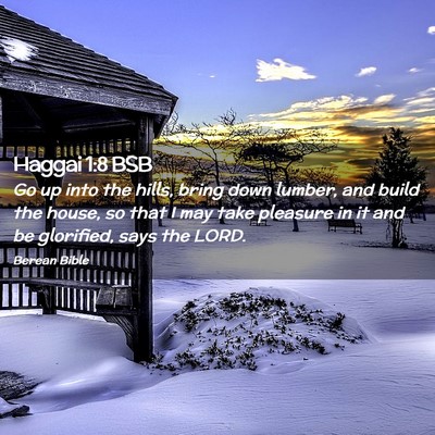 Picture 02 - Haggai 1:8 BSB - Go up into the hills, bring down lumber, and - Bible Verse Picture