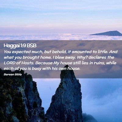 Picture 02 - Haggai 1:9 BSB - You expected much, but behold, it amounted to - Bible Verse Picture
