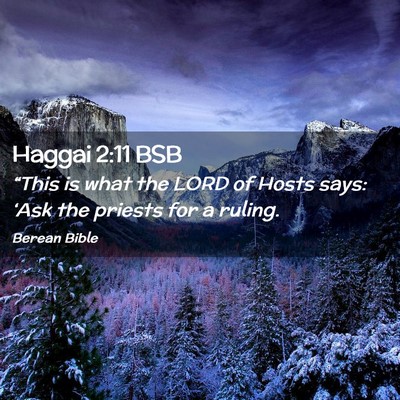 Picture 02 - Haggai 2:11 BSB - “This is what the LORD of Hosts says: ‘Ask - Bible Verse Picture