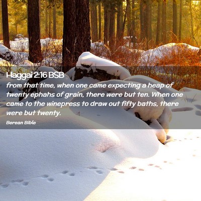 Picture 02 - Haggai 2:16 BSB - from that time, when one came expecting a heap of - Bible Verse Picture