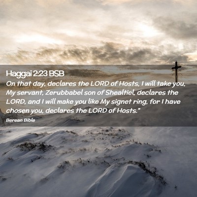 Picture 02 - Haggai 2:23 BSB - On that day, declares the LORD of Hosts, I will - Bible Verse Picture