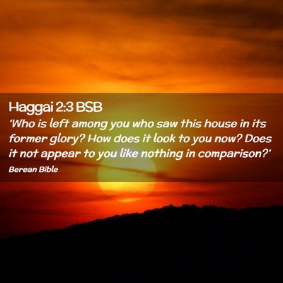 Picture 02 - Haggai 2:3 BSB - ‘Who is left among you who saw this house in - Bible Verse Picture
