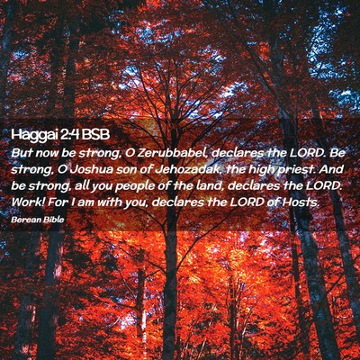Picture 02 - Haggai 2:4 BSB - But now be strong, O Zerubbabel, declares the - Bible Verse Picture