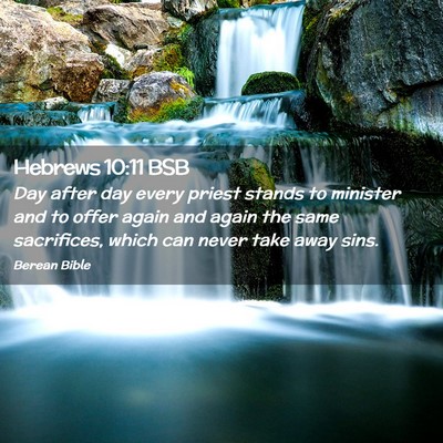Picture 02 - Hebrews 10:11 BSB - Day after day every priest stands to minister and - Bible Verse Picture