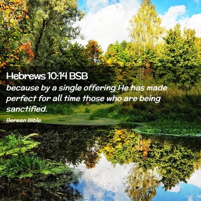 Picture 02 - Hebrews 10:14 BSB - because by a single offering He has made perfect - Bible Verse Picture