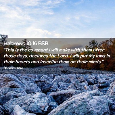 Picture 02 - Hebrews 10:16 BSB - “This is the covenant I will make with them - Bible Verse Picture