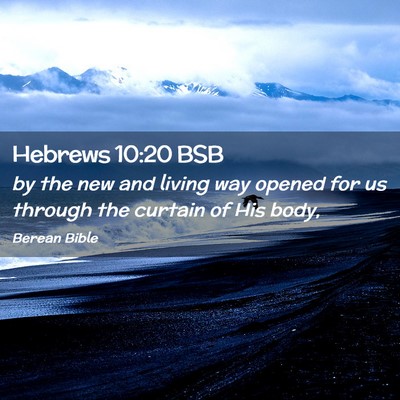 Picture 02 - Hebrews 10:20 BSB - by the new and living way opened for us through - Bible Verse Picture