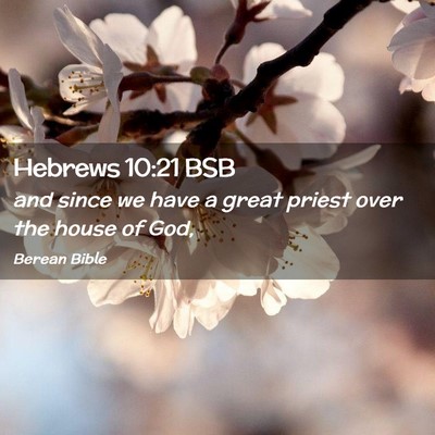 Picture 02 - Hebrews 10:21 BSB - and since we have a great priest over the house - Bible Verse Picture