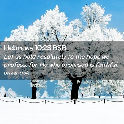 Picture 02 - Hebrews 10:23 BSB - Let us hold resolutely to the hope we profess, - Bible Verse Picture