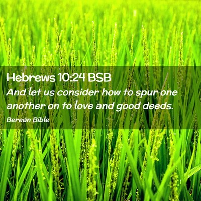 Picture 02 - Hebrews 10:24 BSB - And let us consider how to spur one another on to - Bible Verse Picture