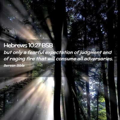 Picture 02 - Hebrews 10:27 BSB - but only a fearful expectation of judgment and of - Bible Verse Picture