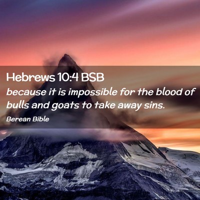 Picture 02 - Hebrews 10:4 BSB - because it is impossible for the blood of bulls - Bible Verse Picture