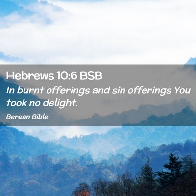 Picture 02 - Hebrews 10:6 BSB - In burnt offerings and sin offerings You took no - Bible Verse Picture