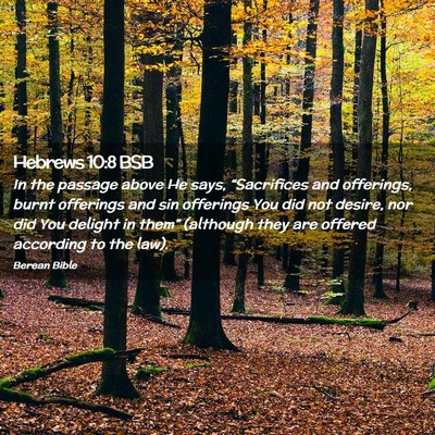 Picture 02 - Hebrews 10:8 BSB - In the passage above He says, “Sacrifices and - Bible Verse Picture