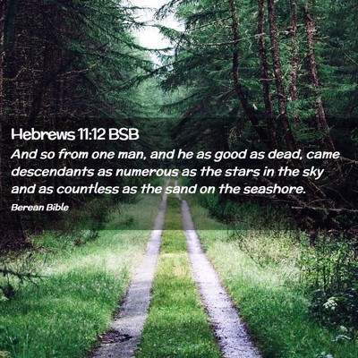 Picture 02 - Hebrews 11:12 BSB - And so from one man, and he as good as dead, came - Bible Verse Picture