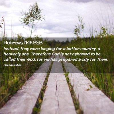 Picture 02 - Hebrews 11:16 BSB - Instead, they were longing for a better country, - Bible Verse Picture