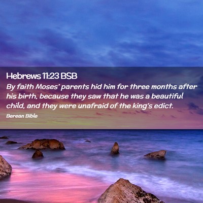 Picture 02 - Hebrews 11:23 BSB - By faith Moses’ parents hid him for three - Bible Verse Picture
