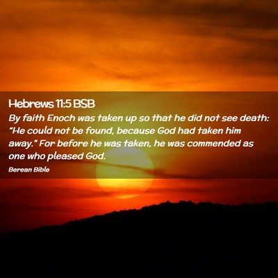Picture 02 - Hebrews 11:5 BSB - By faith Enoch was taken up so that he did not - Bible Verse Picture
