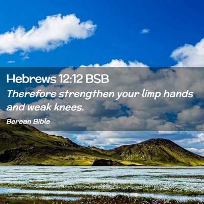 Picture 02 - Hebrews 12:12 BSB - Therefore strengthen your limp hands and weak - Bible Verse Picture