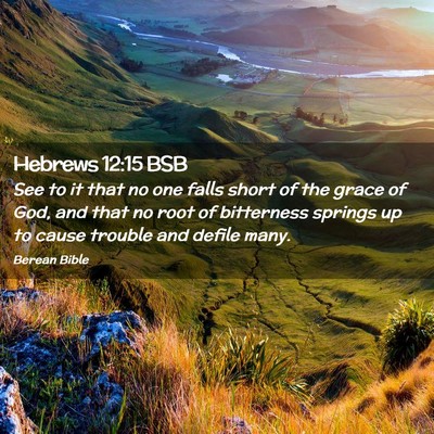 Picture 02 - Hebrews 12:15 BSB - See to it that no one falls short of the grace of - Bible Verse Picture