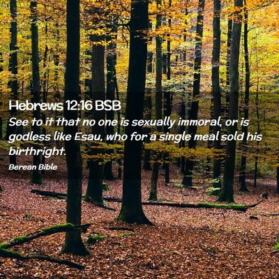 Picture 02 - Hebrews 12:16 BSB - See to it that no one is sexually immoral, or is - Bible Verse Picture