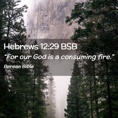 Picture 02 - Hebrews 12:29 BSB - “For our God is a consuming - Bible Verse Picture