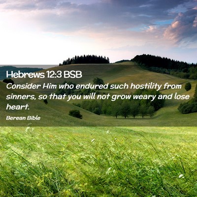 Picture 02 - Hebrews 12:3 BSB - Consider Him who endured such hostility from - Bible Verse Picture