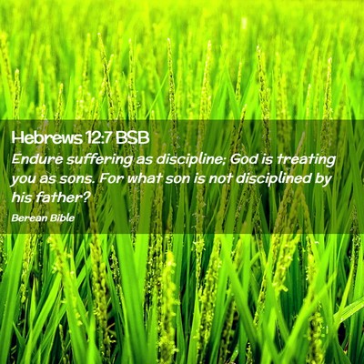 Picture 02 - Hebrews 12:7 BSB - Endure suffering as discipline; God is treating - Bible Verse Picture
