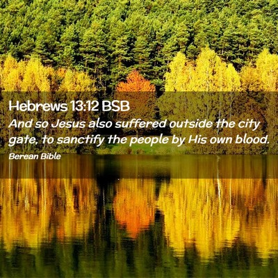 Picture 02 - Hebrews 13:12 BSB - And so Jesus also suffered outside the city gate, - Bible Verse Picture