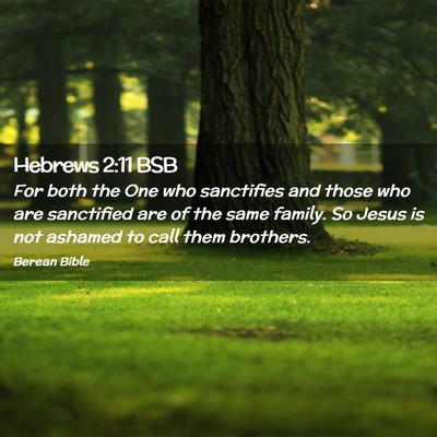 Picture 02 - Hebrews 2:11 BSB - For both the One who sanctifies and those who are - Bible Verse Picture