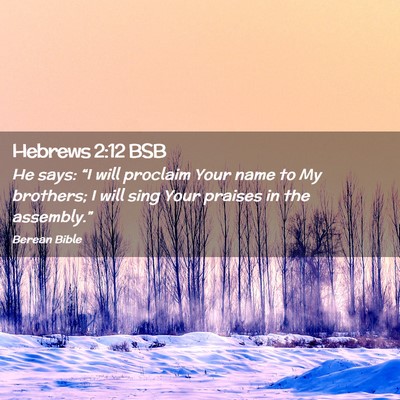 Picture 02 - Hebrews 2:12 BSB - He says: “I will proclaim Your name to My - Bible Verse Picture