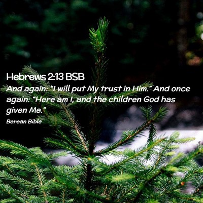 Picture 02 - Hebrews 2:13 BSB - And again: “I will put My trust in Him.” And - Bible Verse Picture