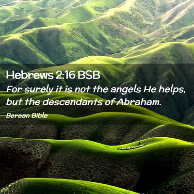 Picture 02 - Hebrews 2:16 BSB - For surely it is not the angels He helps, but the - Bible Verse Picture