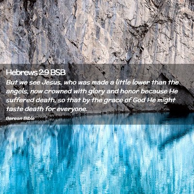 Picture 02 - Hebrews 2:9 BSB - But we see Jesus, who was made a little lower - Bible Verse Picture