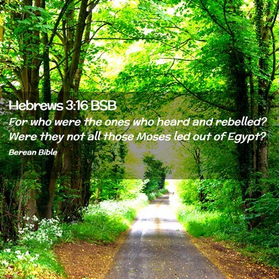 Picture 02 - Hebrews 3:16 BSB - For who were the ones who heard and rebelled? - Bible Verse Picture
