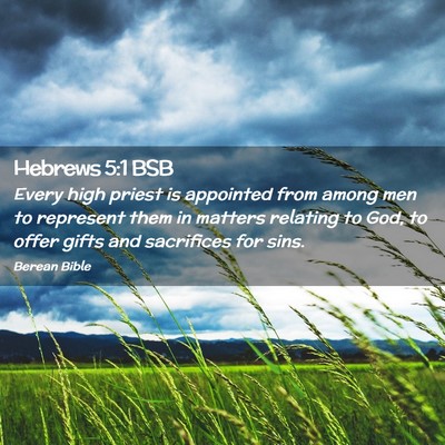 Picture 02 - Hebrews 5:1 BSB - Every high priest is appointed from among men to - Bible Verse Picture