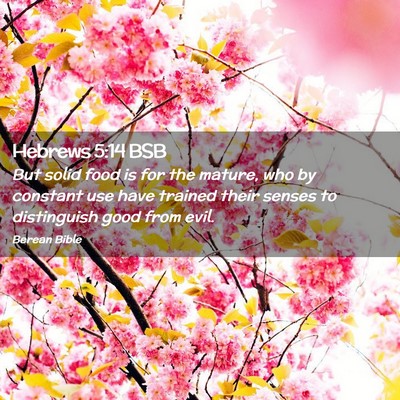 Picture 02 - Hebrews 5:14 BSB - But solid food is for the mature, who by constant - Bible Verse Picture
